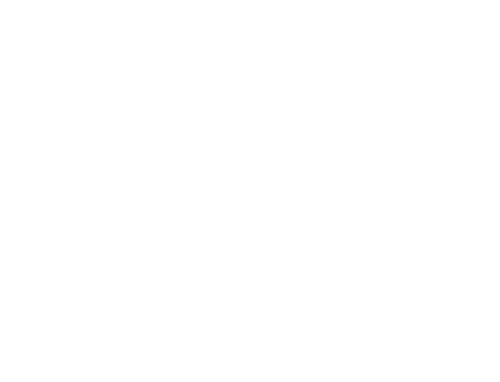 Emmanuel Flores